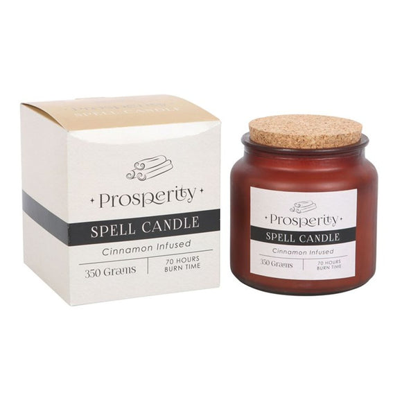 Cinnamon Infused Prosperity Spell Candle - The Flower & Gift Yard
